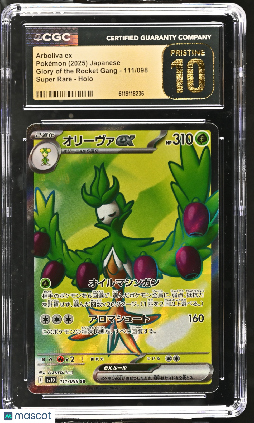 2025 Pokemon Glory Of The Rocket Gang Arboliva ex #111/098 Japanese Super Rare CGC 10