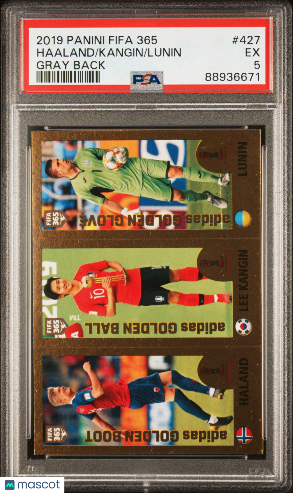 2019 Panini FIFA 365 Lunin Kangin Haaland #427 Gray Back PSA 5