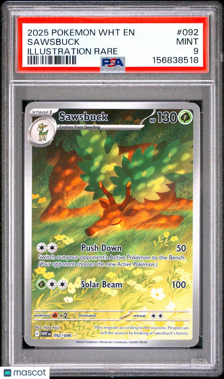 2025 Pokemon WHT EN-White Flare Sawsbuck #092 Illustration Rare PSA 9