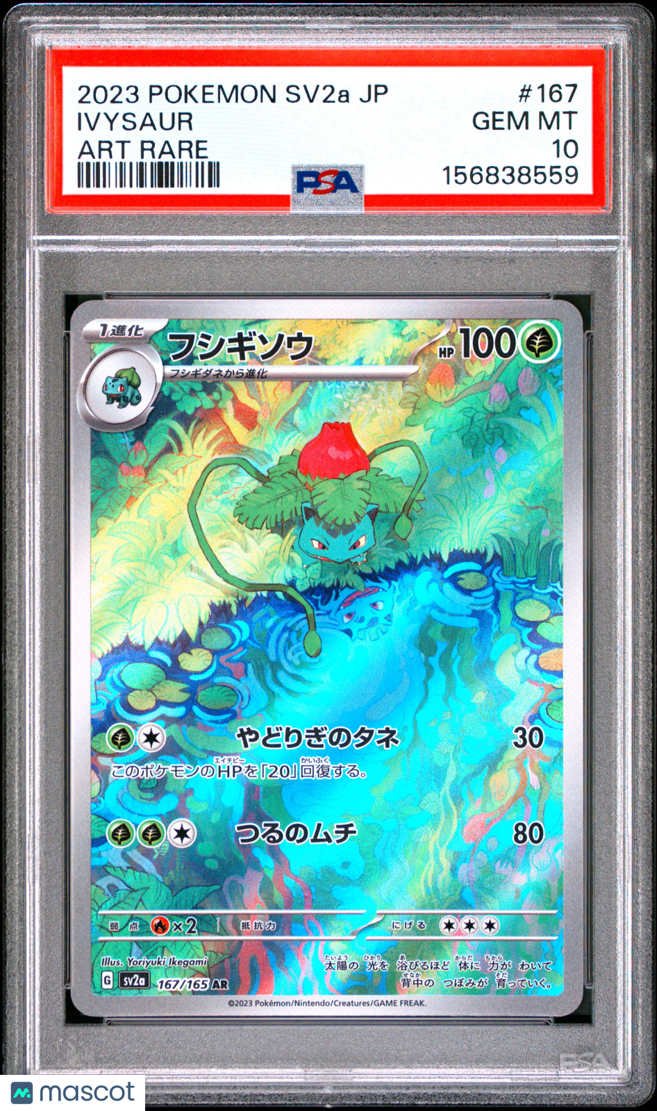 2023 Pokemon Japanese Sv2a-Pokemon Card 151 Ivysaur #167 Japanese PSA 10