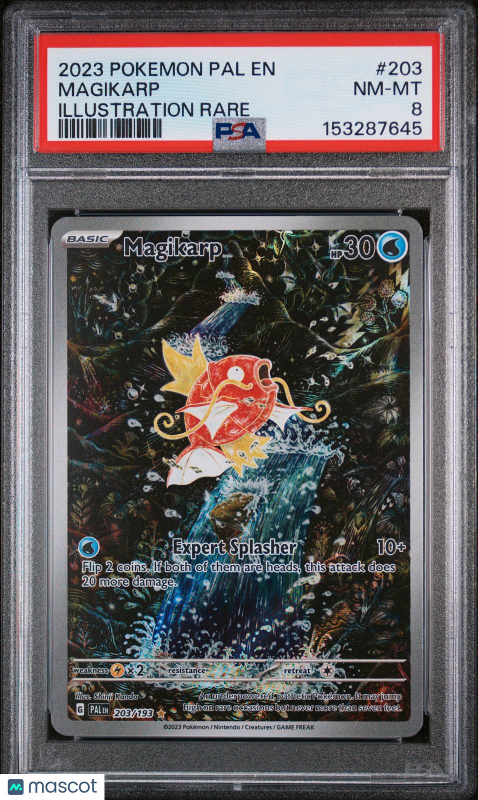 2023 Pokemon Pal EN-Paldea Evolved Magikarp #203 Illustration Rare PSA 8