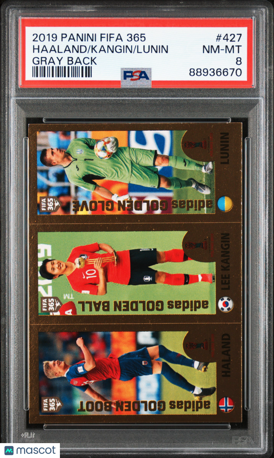 2019 Panini FIFA 365 Lunin Kangin Haaland #427 Gray Back PSA 8