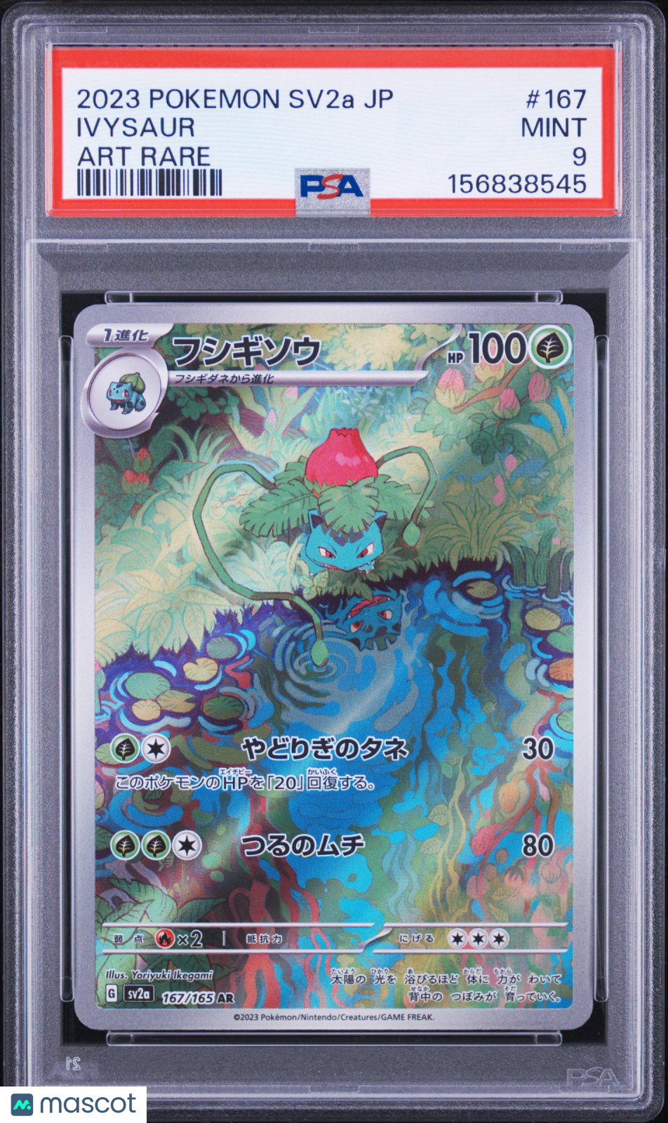 2023 Pokemon Japanese Sv2a-Pokemon Card 151 Ivysaur #167 Japanese Art Rare PSA 9
