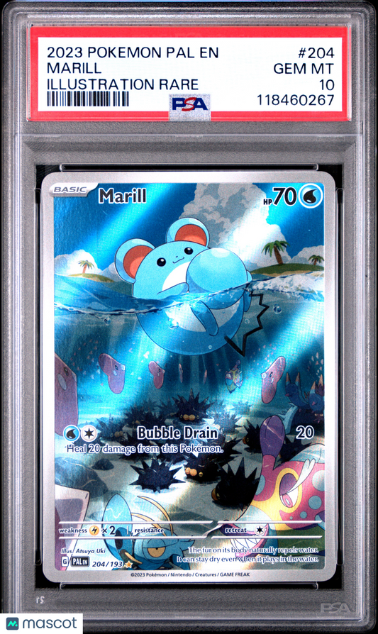 2023 Pokemon Pal EN-Paldea Evolved Marill #204 Illustration Rare PSA 10