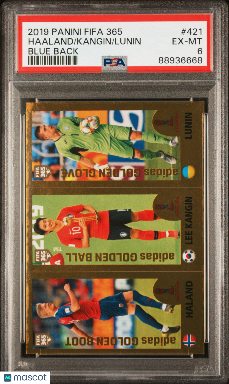 2019 Panini FIFA 365 Lunin Kangin Haaland #421 Blue Back PSA 6