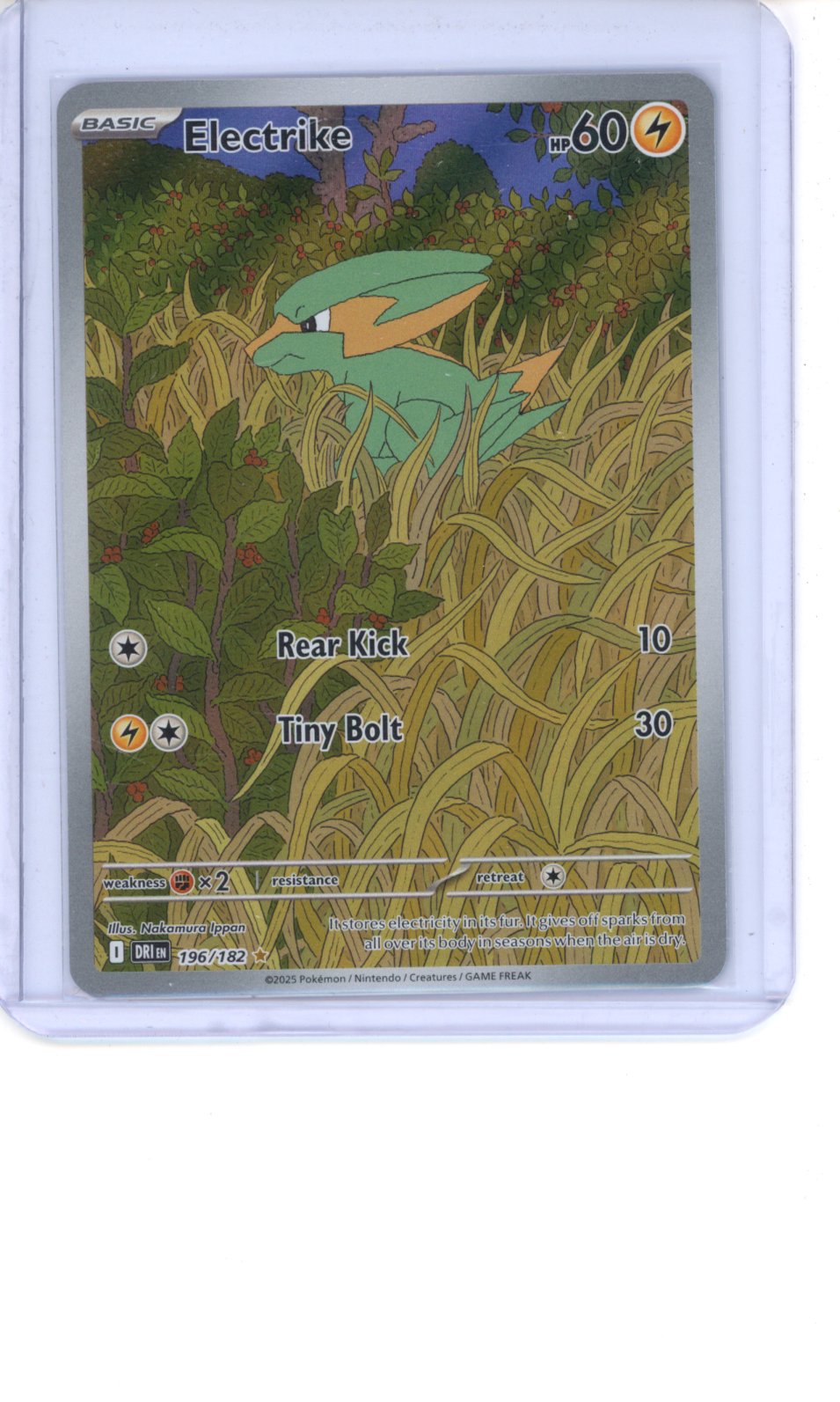 Electrike - 196/182 - SV10: Destined Rivals NM